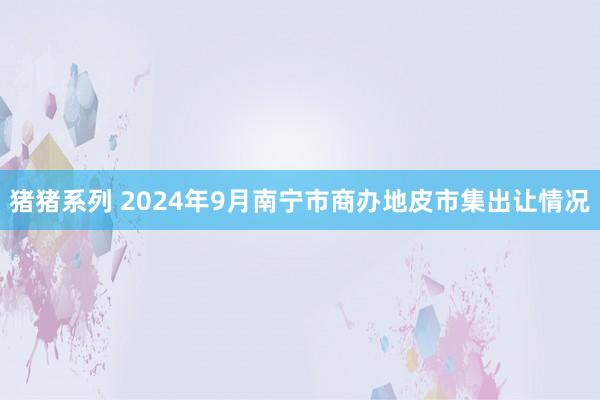 猪猪系列 2024年9月南宁市商办地皮市集出让情况