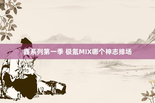 鑫系列第一季 极氪MIX哪个神志排场